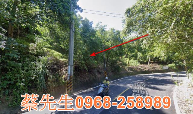 頭份法拍農地-15