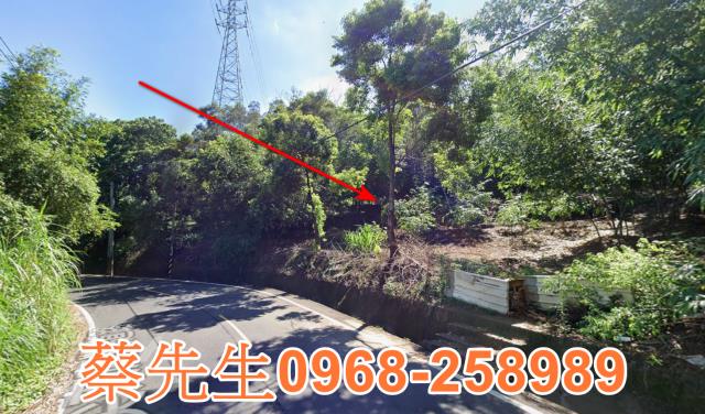 頭份法拍農地-4