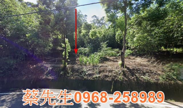 頭份法拍農地-9