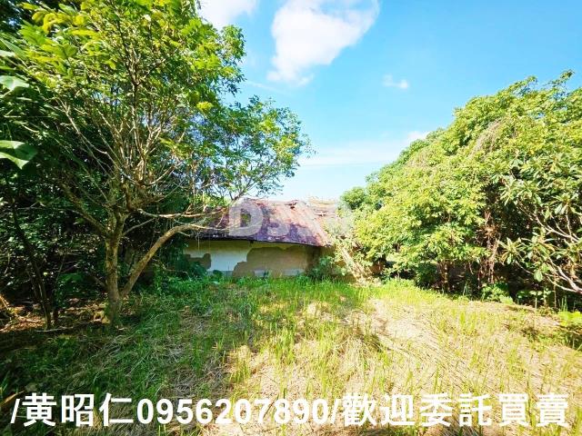 台南農地-3