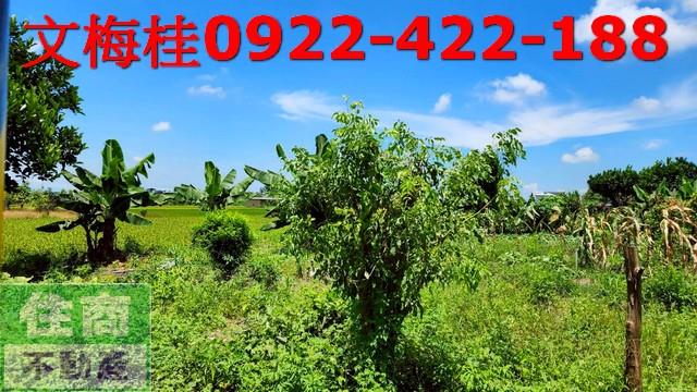 宜蘭土地宜蘭農地三星農地冬山農地