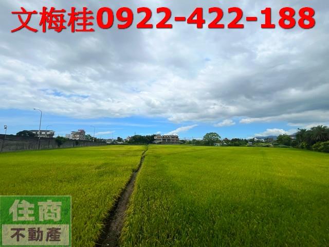 宜蘭土地宜蘭農地三星農地冬山農地