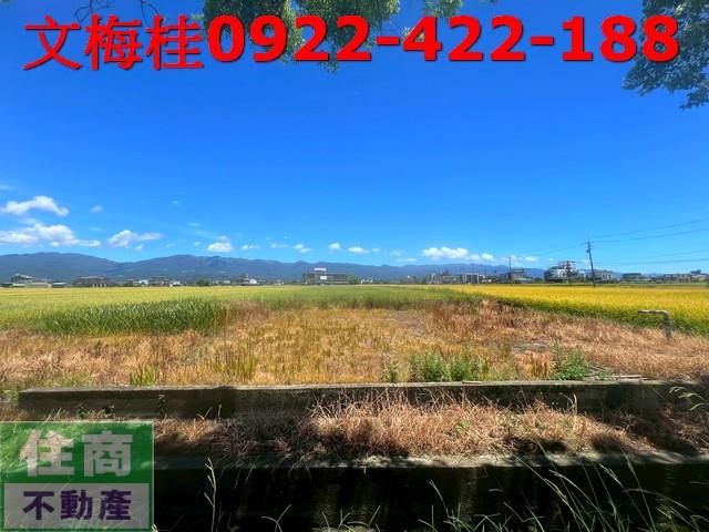 宜蘭土地宜蘭農地員山農地壯圍農地