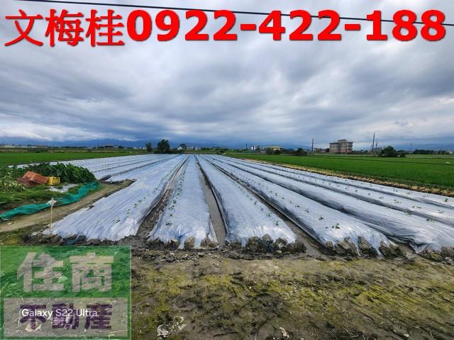 宜蘭土地宜蘭農地員山農地壯圍農地