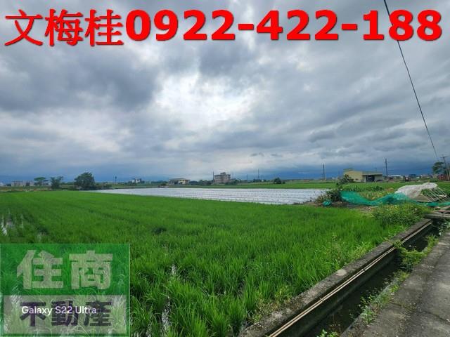 宜蘭壯圍農地-6