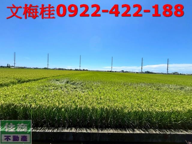 宜蘭土地宜蘭農地員山農地壯圍農地