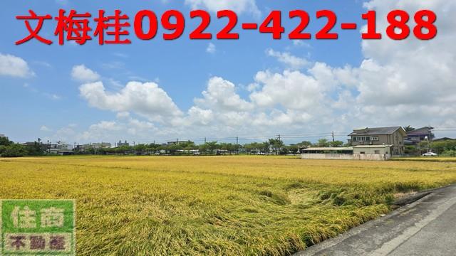 宜蘭宜蘭市農地-5