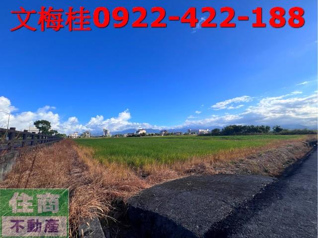 宜蘭宜蘭市農地-13