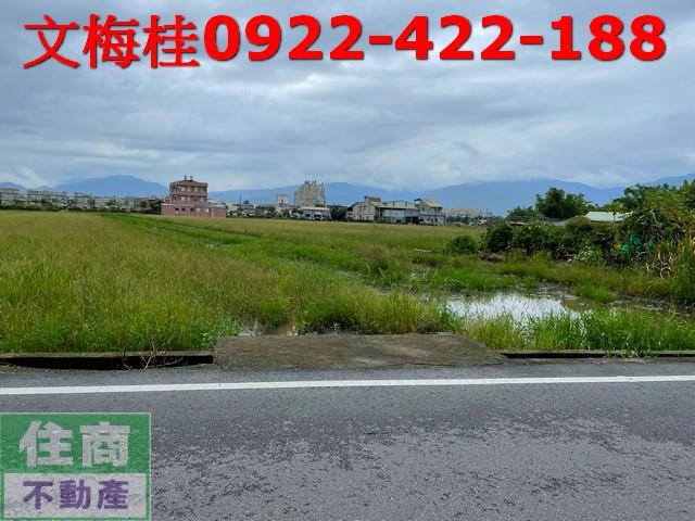 宜蘭宜蘭市農地-3