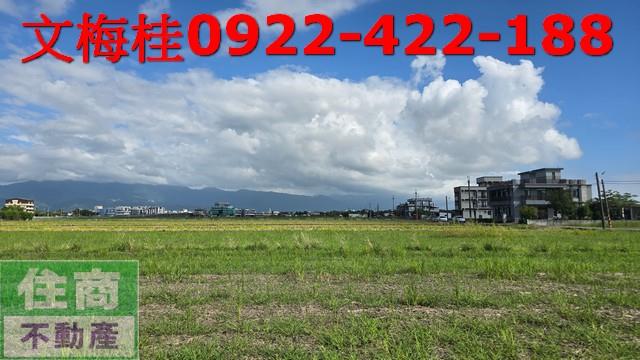 宜蘭宜蘭市農地-5