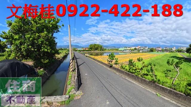 宜蘭宜蘭市農地-4