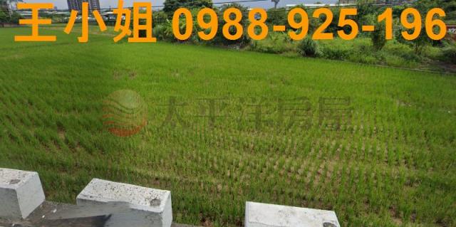 桃園蘆竹農地-8