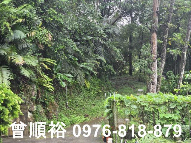 橫山農地_林地-12