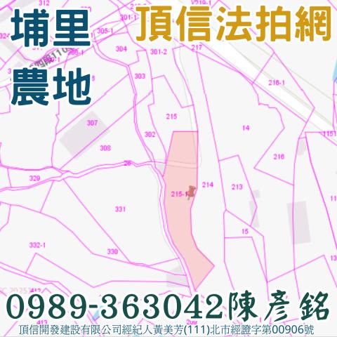 埔里農地_休閒地法拍-3