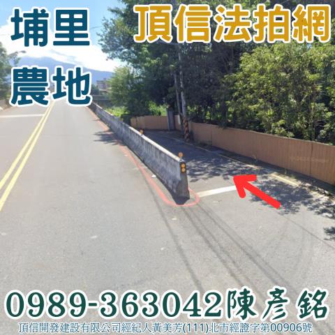 埔里農地_休閒地法拍-2