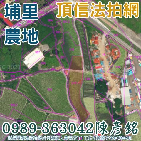 埔里農地_休閒地法拍-4