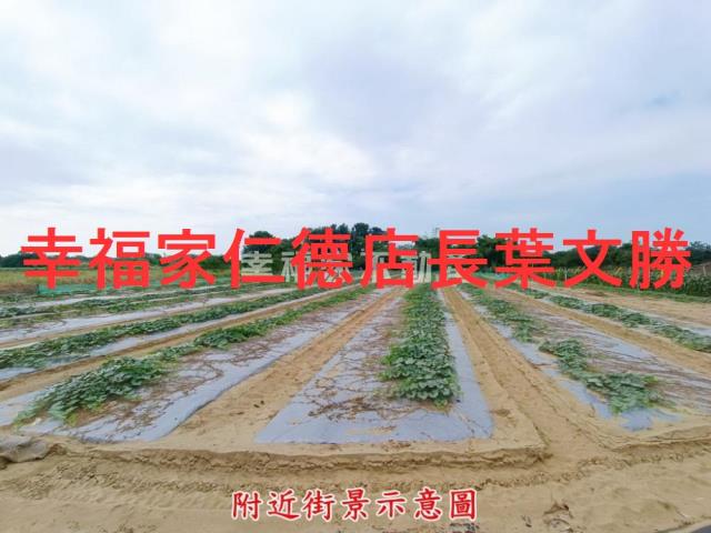 台南官田農地-6