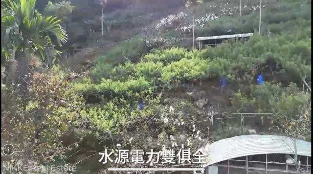 東勢農地_休閒地-4