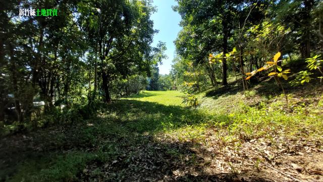 新竹關西農地_休閒地-3