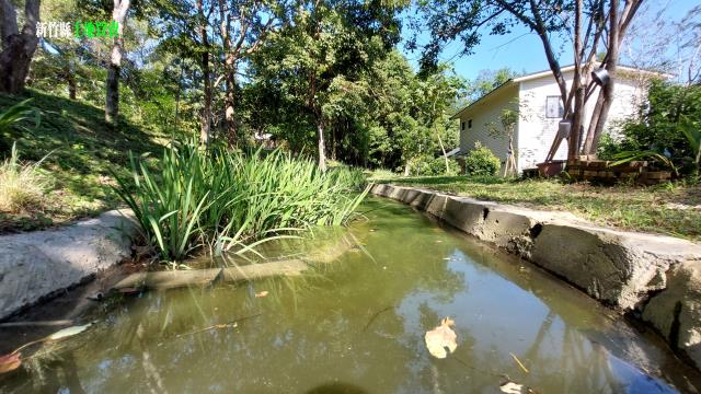 新竹關西農地_休閒地-4