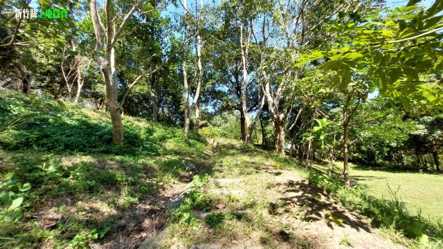 新竹關西農地_休閒地-8