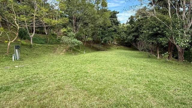 新竹關西農地-11