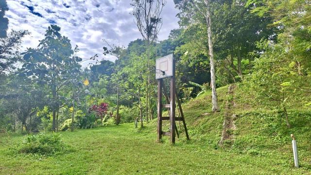 新竹關西農地-2