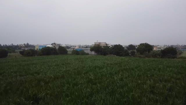 屏東萬丹農地-3
