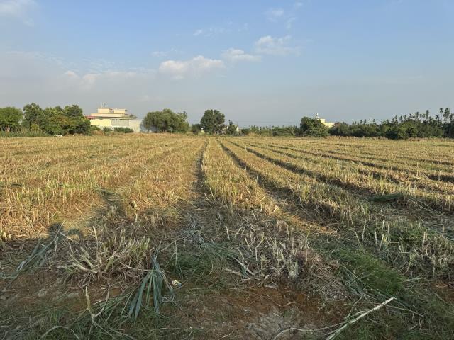 屏東萬丹農地-2