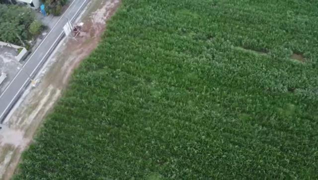 屏東萬丹農地-2