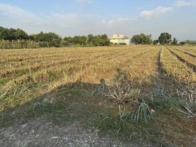 屏東萬丹農地-4