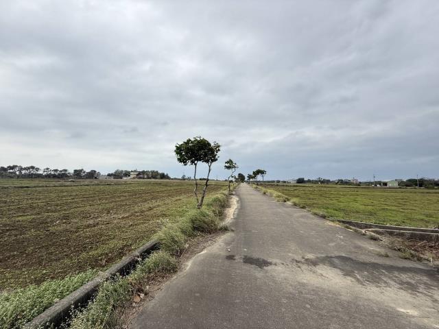 桃園新屋農地-0