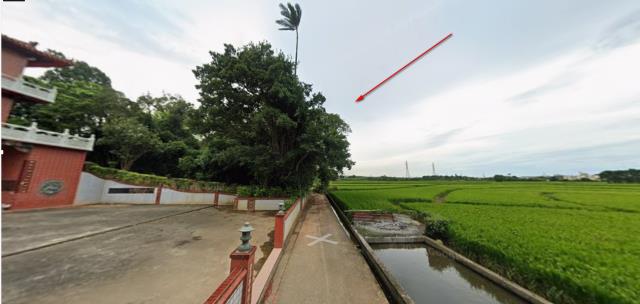 楊梅法拍農地-4