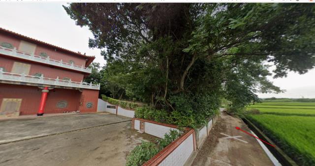 楊梅法拍農地-9