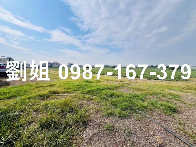 新市農地-0