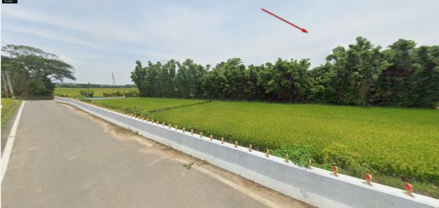 楊梅農地拍賣-12