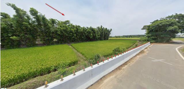 楊梅農地拍賣-13