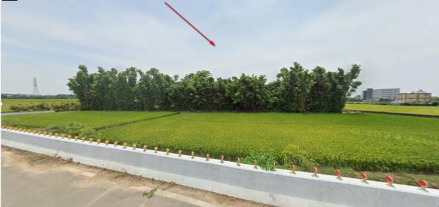 楊梅農地拍賣-8