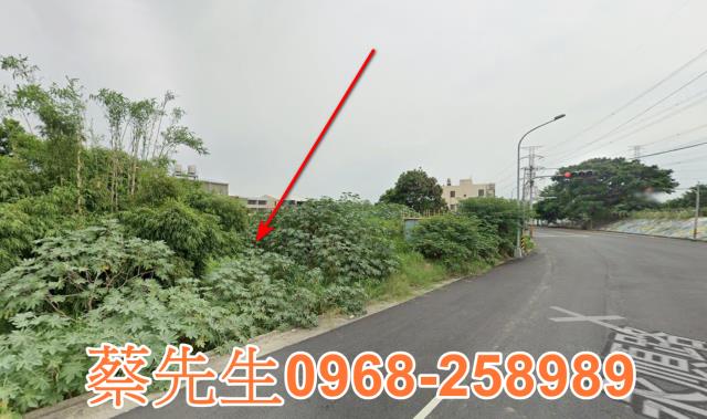 大肚法拍農地-6