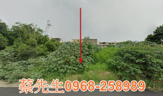 大肚法拍農地-9