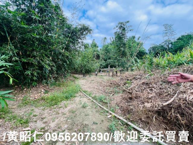 台南農地-9