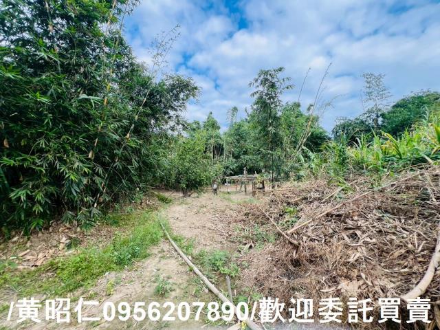 台南農地-3