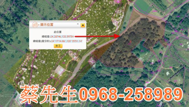 台中休閒地拍賣-11