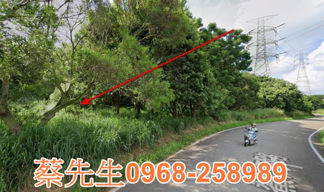 台中休閒地拍賣-5