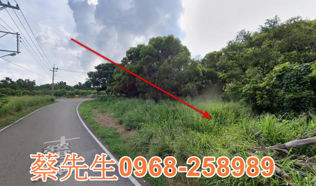 台中休閒地拍賣-7