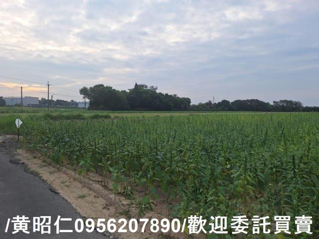 台南農地-5