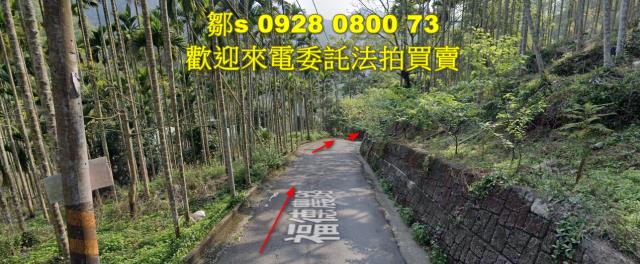 苗栗林地拍賣-3