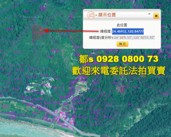 苗栗林地拍賣-5