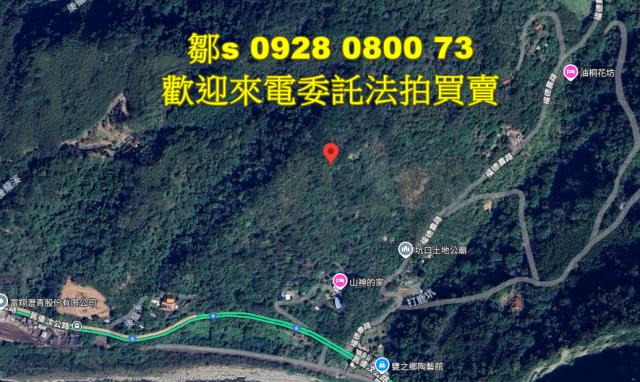 苗栗林地拍賣-6