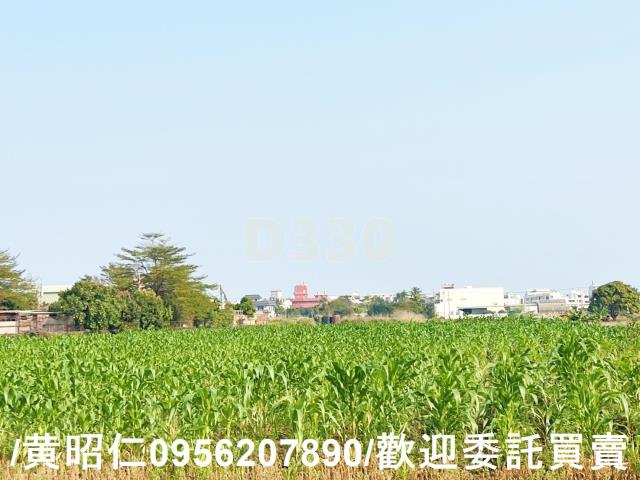 台南永康農地-11